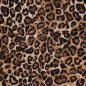 Preview: Jersey - Jeff Leo - beige/schwarz