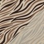 Preview: Sweat - Zadok Zebra - braun/ecru/beige