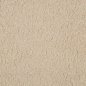 Preview: Teddy Bouclé - Jerrik - beige