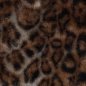 Preview: Fellimitat - Shira Leopard - grau/schwarz