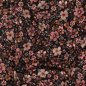 Preview: Jersey - Big Fiora Flowers - nude/khaki/rost/braun