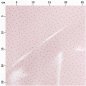 Preview: Baumwolle beschichtet - Rosa kleine Punkte - altrosa - Wonderland - Rico Design
