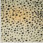 Preview: Modal Webware - Dots - beige/black - Fibremood Spezial No. 4