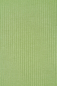 Preview: Derby Ribbed Jersey mit TENCEL™ - soft apple - MeetMilk