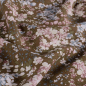 Preview: Viskose - Milda Flowers - light blue/brown