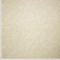 Preview: Veganes Wildkunstleder - Vintage - beige