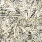 Preview: Baumwoll Stretch - Snake - Animalprint - anthrazit/ecru