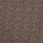 Preview: RESTSTÜCK 0,40m !!! - Baumwolljersey - Leo - sand