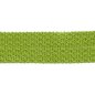 Preview: Einfassband/Tresse - 30mm - kiwi