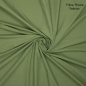 Preview: RESTSTÜCK 1,20m !!! - Baumwoll Popeline - stone washed - bright green - Fibremood No. 38