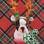Preview: French Terry Panel - Christmas Bulldog mit Pailetten - red