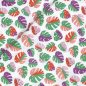 Preview: Bio Baumwolle - Happy Monstera - Happy Days - Cloud9fabrics