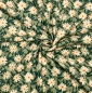 Preview: RESTSTÜCK 1,60m !!! - Jersey - Mildred´s Pressed Flowers - Her & History - Art Gallery Fabrics