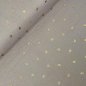 Preview: Musselin - foiled - Golden Rainbow - taupe