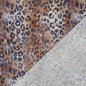 Preview: Musselin - Leo Adair - braun/schwarz