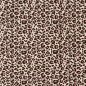 Preview: Nicky Velours - Leny Leopard - beige/rose