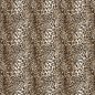 Preview: Softshell - Leo Amara - beige