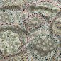 Preview: Viskose Crepe - Mandala - khaki