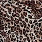 Preview: RESTSTÜCK 0,80m !!! - Viskose - Panther - camel