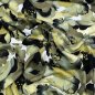 Preview: Viskosesatin- matt - Blütenrausch - khaki/black