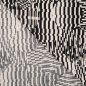 Preview: Viskose Slub - Circles and Stripes - ecru/black