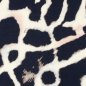 Preview: Viskose Twill - Ruby - schwarz