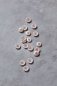Preview: Knopf Corozo - Dish - 15 mm - powder pink - meetMilk
