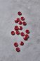 Preview: Knopf Corozo - Dish - 15 mm - berry - meetMilk
