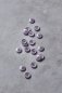 Preview: Knopf Corozo - Dish - 15 mm - purple haze - meetMilk