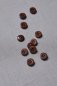 Preview: Knopf Corozo - Plain - 11 mm - pecan - meetMilk