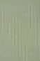 Preview: Derby Ribbed Jersey mit TENCEL™ - soft mint - MeetMilk
