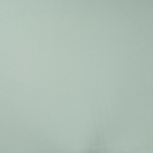 Preview: Rib Jersey - Soft - dusty mint