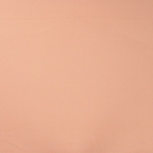 Preview: Rib Jersey - Soft - dusty salmon