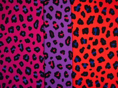 Canvas - Abby Leo - lila/pink/schwarz - Swafing