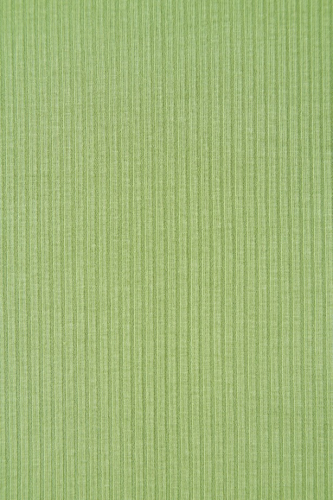 Preview: Derby Ribbed Jersey mit TENCEL™ - soft apple - MeetMilk