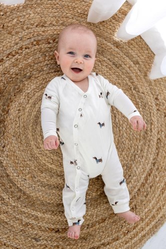Preview: Jersey - Mini Dackel - ecru/brown