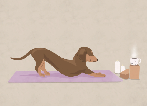 Postkarte - Downward Dog - Alfie´s Greetings