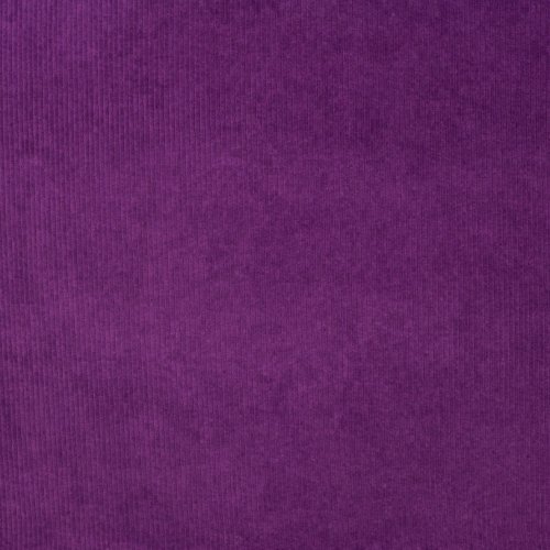 Cord Jersey - Kalifornien - purple
