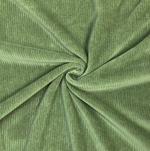 RESTSTÜCK 0,60m !!! - Bio Cord Nicki - A88 caccia - Hamburger Liebe - Albstoffe