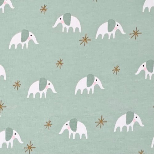 Jersey - Baby - Elefant - mint/gold - Rico Design