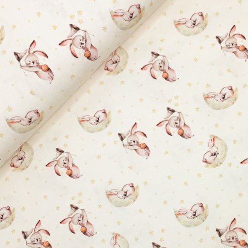 RESTSTÜCK 1,20m !!! - Jersey - Sweet Dreams