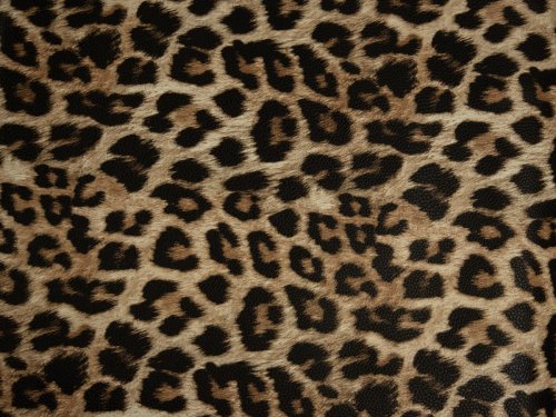 Preview: Kunstleder - Leonardo - beige/schwarz - Swafing