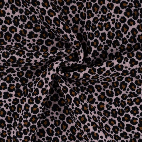 Musselin - Rostam Leo - poudre