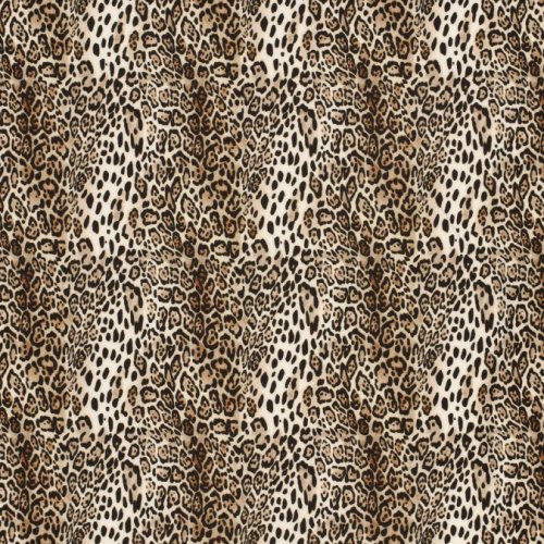 Softshell - Leo Amara - beige