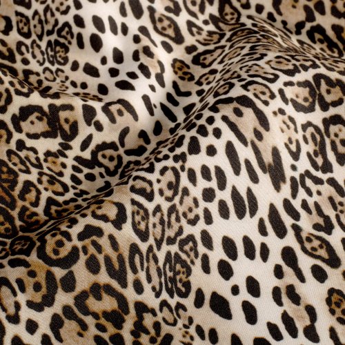 Softshell - Leo Amara - beige