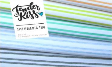 RESTSTÜCK 1,20m !!! - Bio Jersey - Stripemanie TWO - hellblau - Tender Kiss - Hamburger Liebe