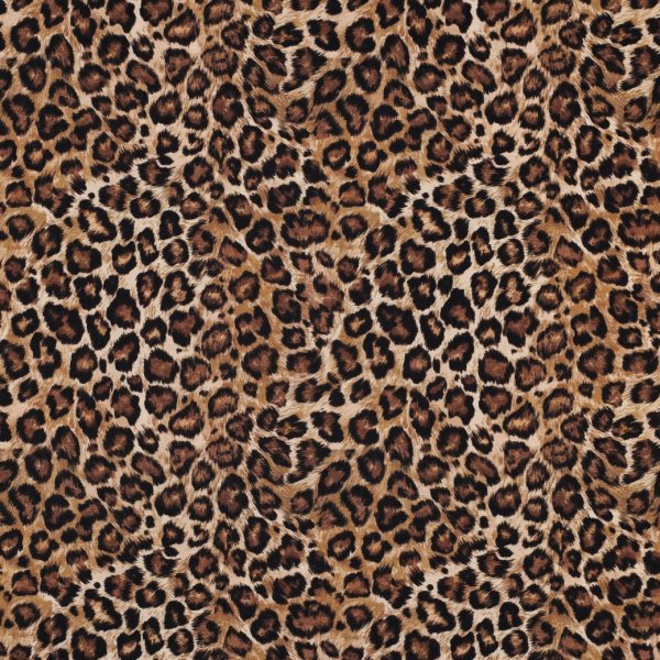 Jersey - Jeff Leo - beige/schwarz