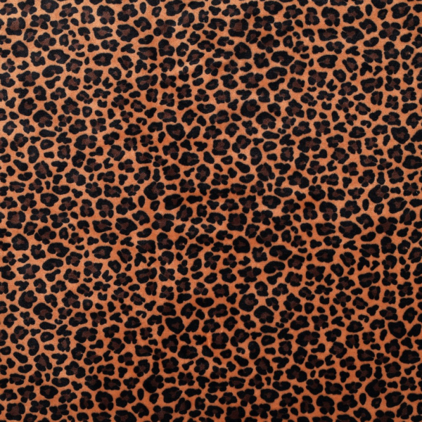 Nicky Velours - Taade Leo - brown/black