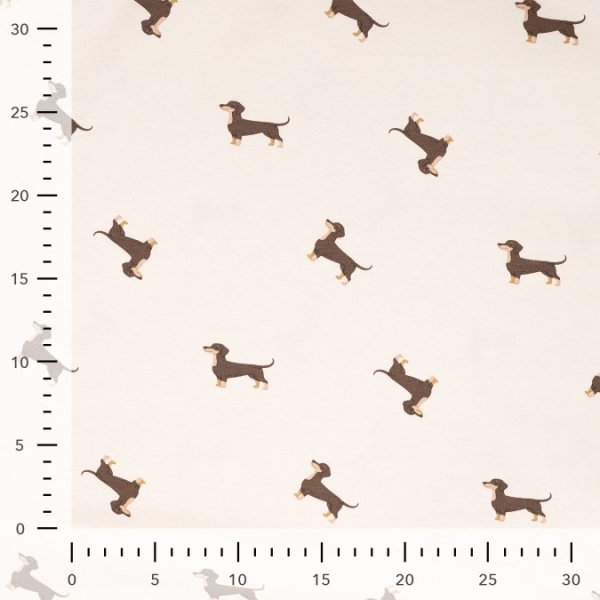 Jersey - Dackel - beige