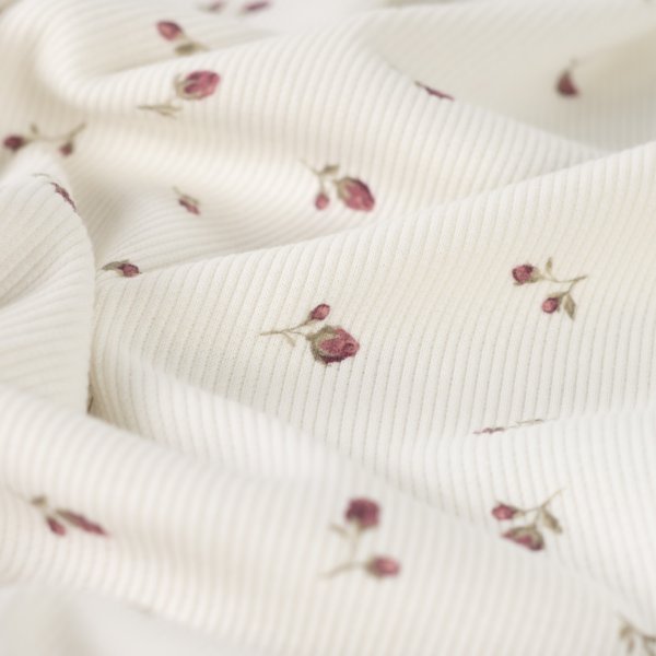 Rib Jersey - Bella Bloom - ecru